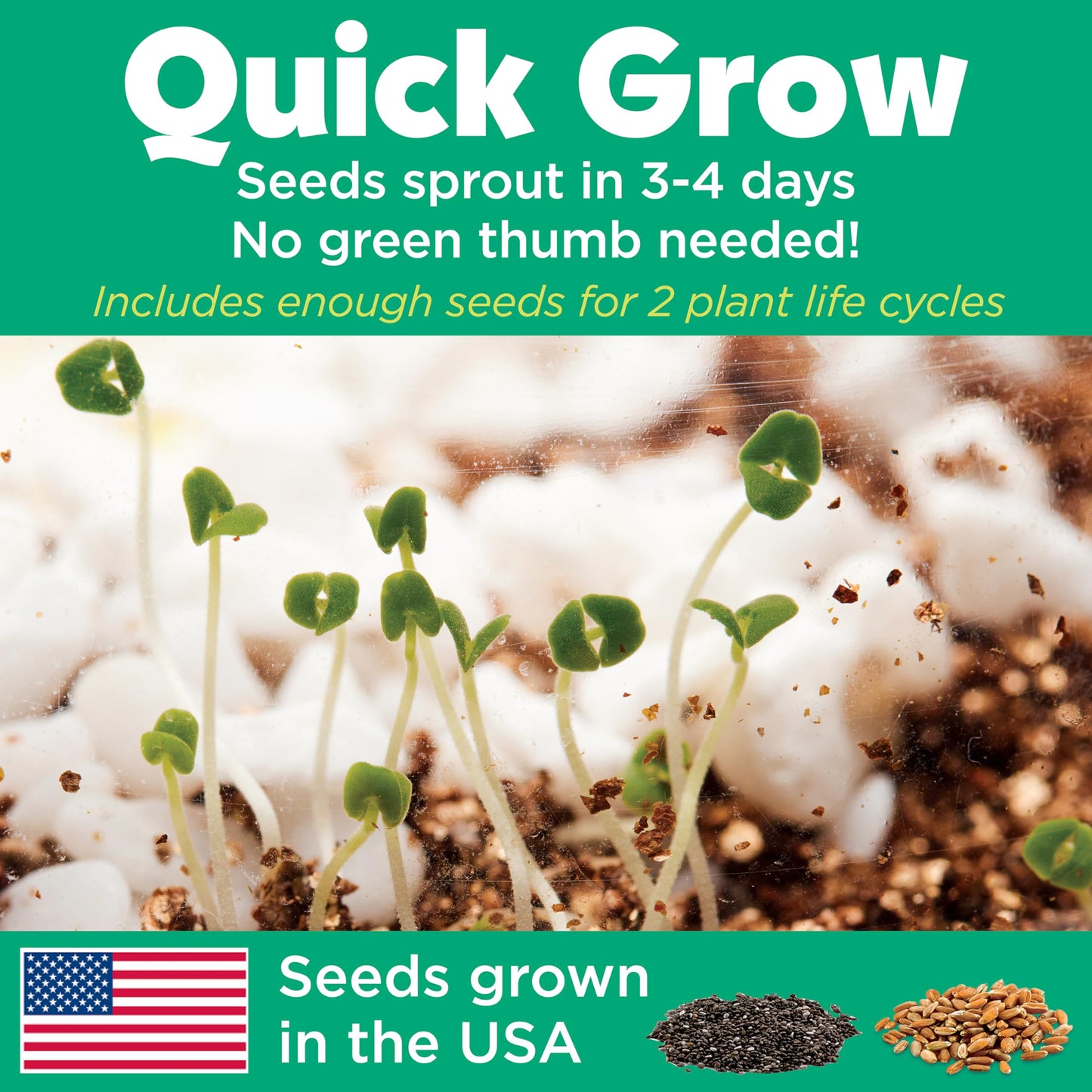Grow 'N Glow Terrarium