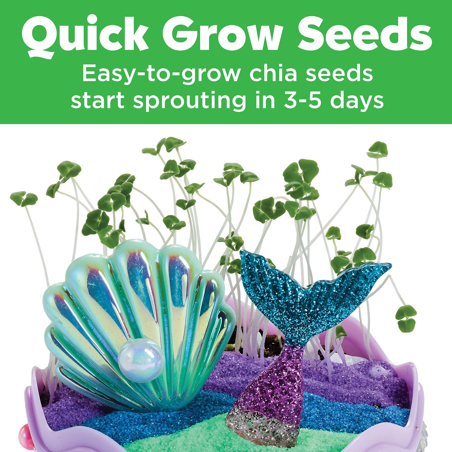 Quick-growing chia seeds sprouting in the Mermaid Mini Garden in 3 to 5 days