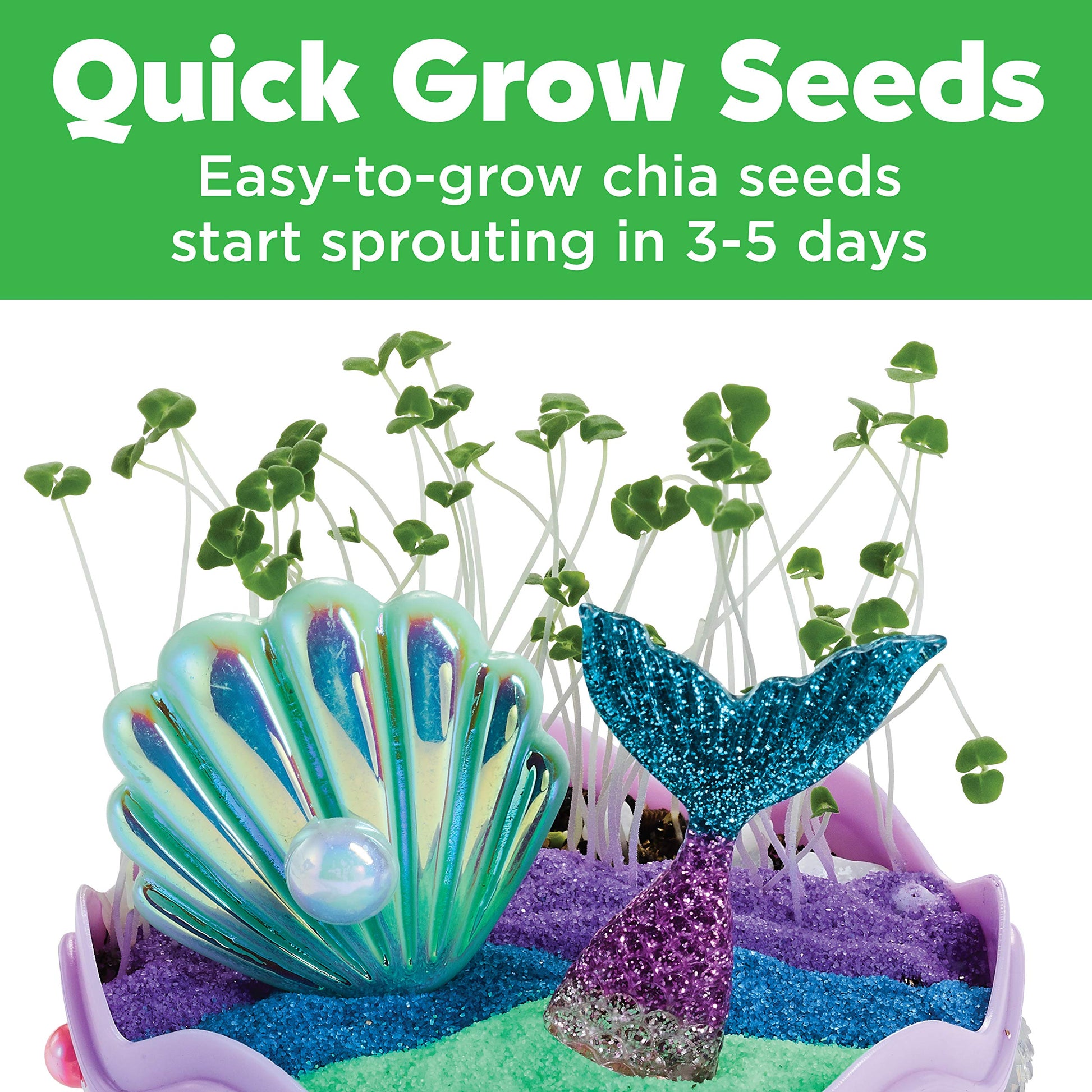 Quick-growing chia seeds sprouting in the Mermaid Mini Garden in 3 to 5 days